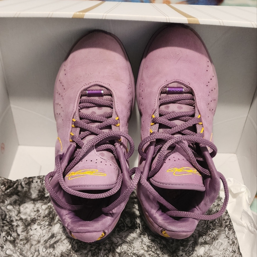 LEBRON XX1 shoes